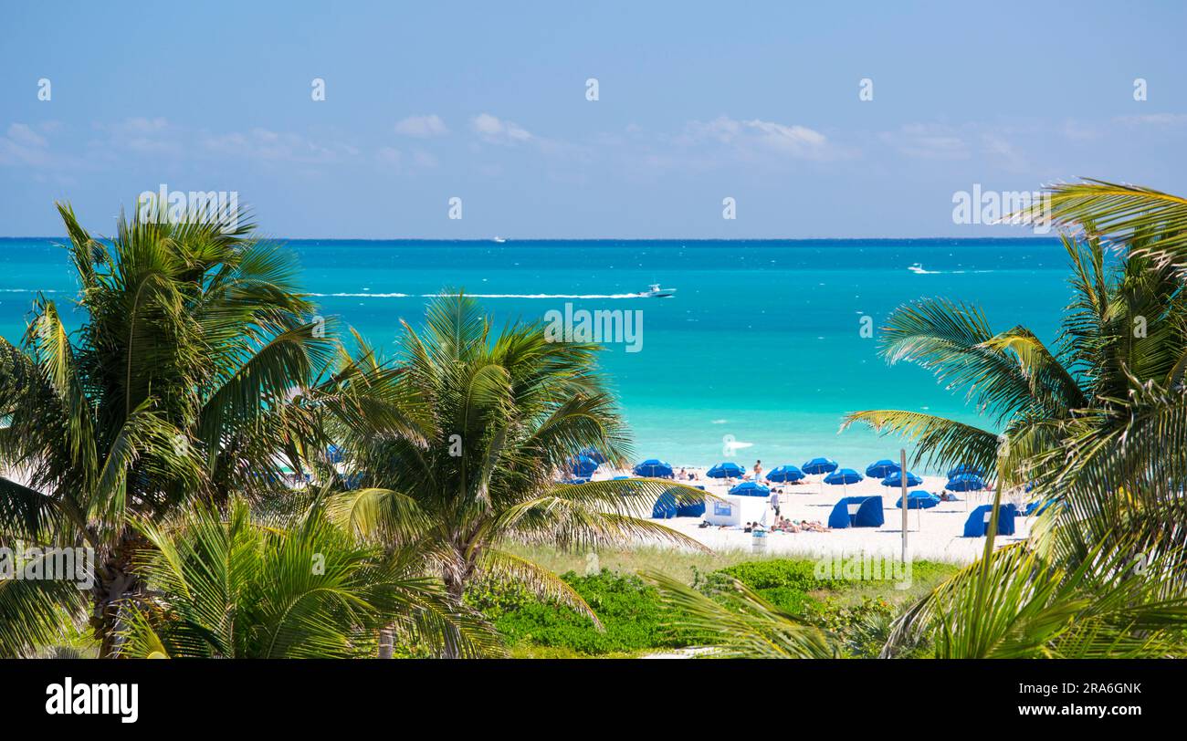 Miami Beach, Florida, USA. Vista sulle palme del Lummus Park fino alle acque turchesi dell'Oceano Atlantico, South Beach. Foto Stock