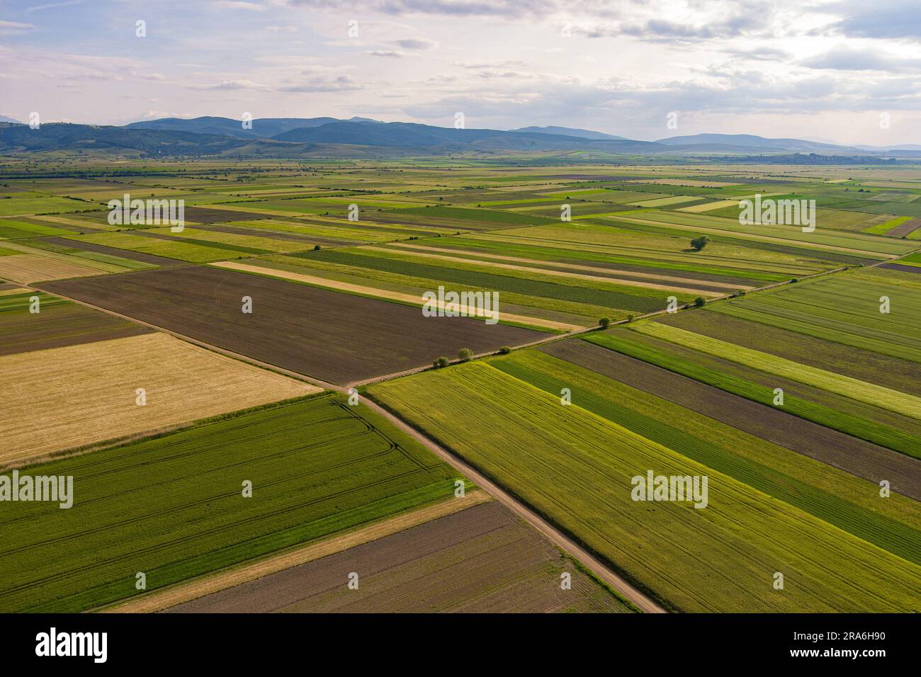 La fotografia aerea cattura il mosaico dei campi primaverili in campagna. Foto Stock