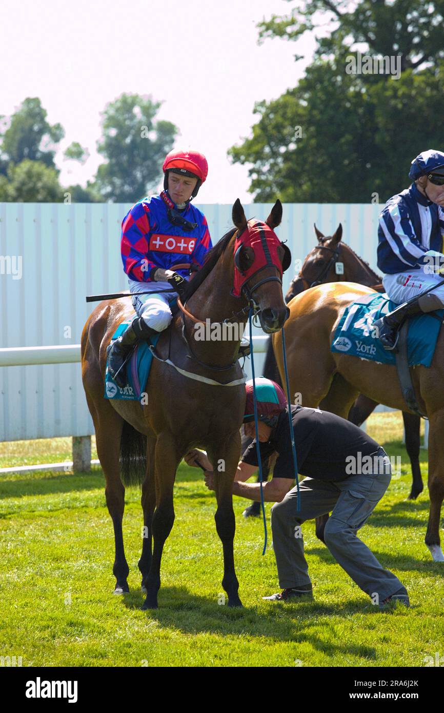 Jockey Cam Hardie su Stamper alle corse di York. Foto Stock