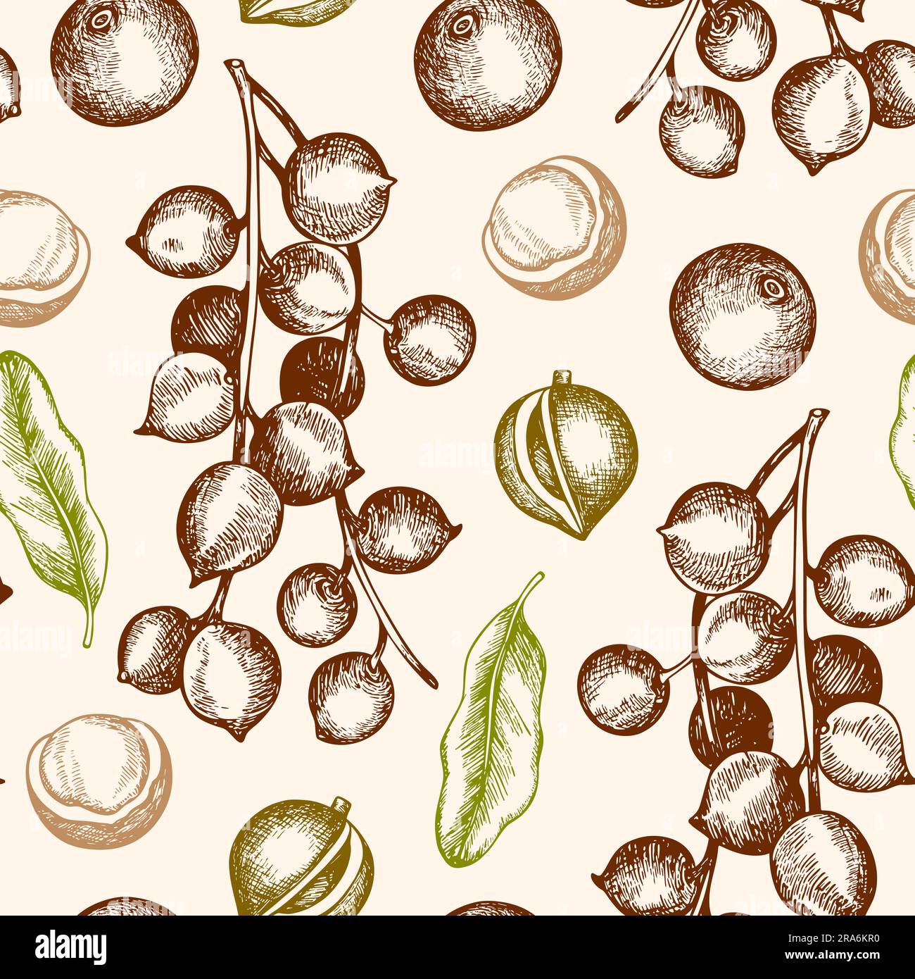 Motivo vintage senza cuciture disegnato a mano con noci di macadamia. Foto Stock