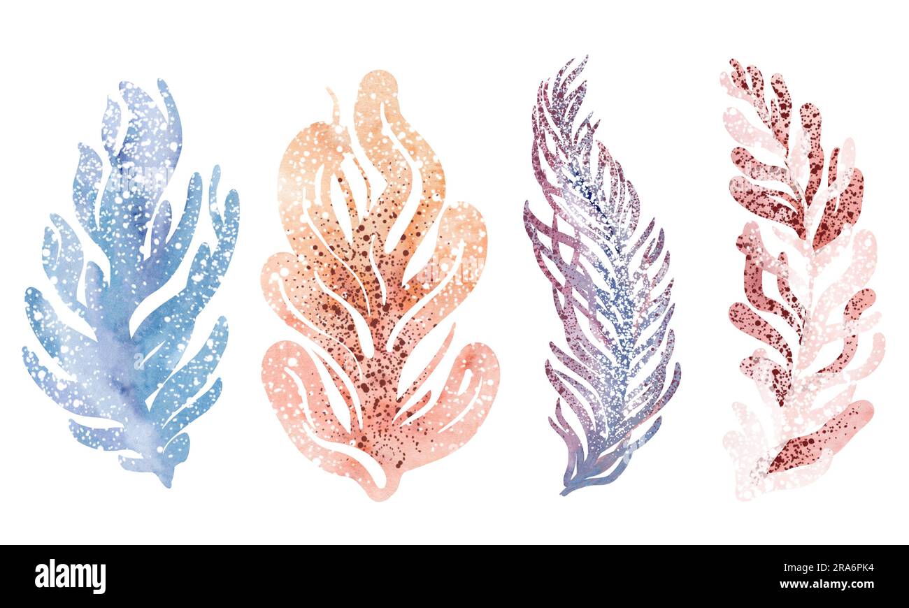 Set di illustrazioni floreali ad acquerello. Raccolta di elementi vegetali, piume. composizioni, inviti di nozze, anniversari, compleanni, cartoline Foto Stock