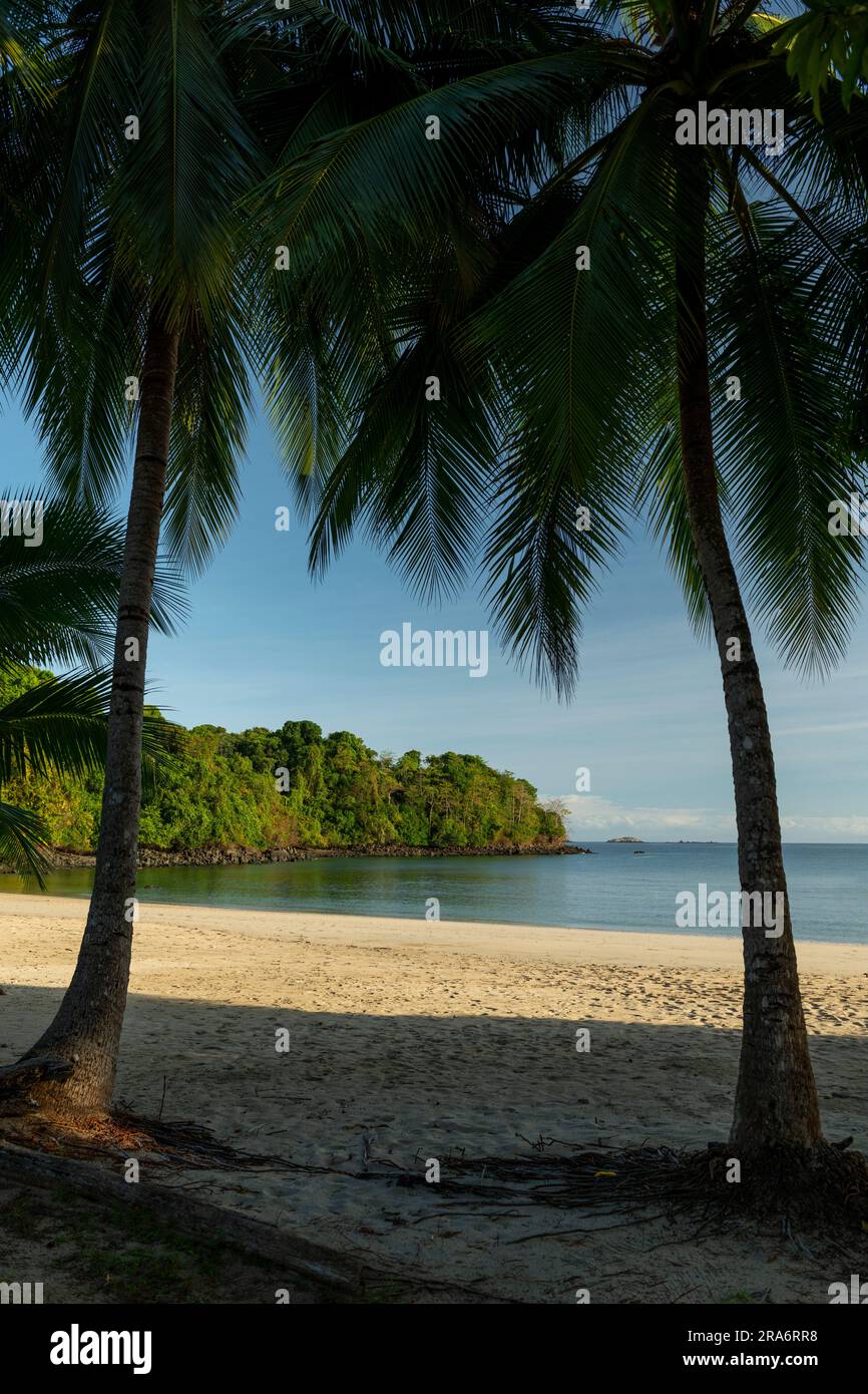 Spiaggia estiva e mare con sfondo cielo limpido, isola di Coiba, Panama - foto stock Foto Stock