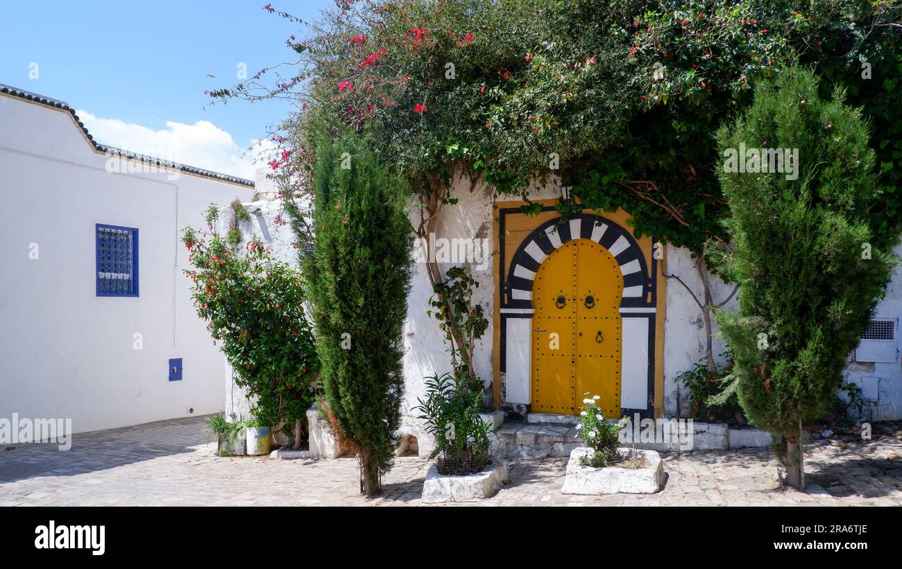 Porte colorate per le strade della Tunisia, vecchie porte gialle, belle strade tunisine bianche, finestre e porte blu, visite turistiche in Tunisia Foto Stock