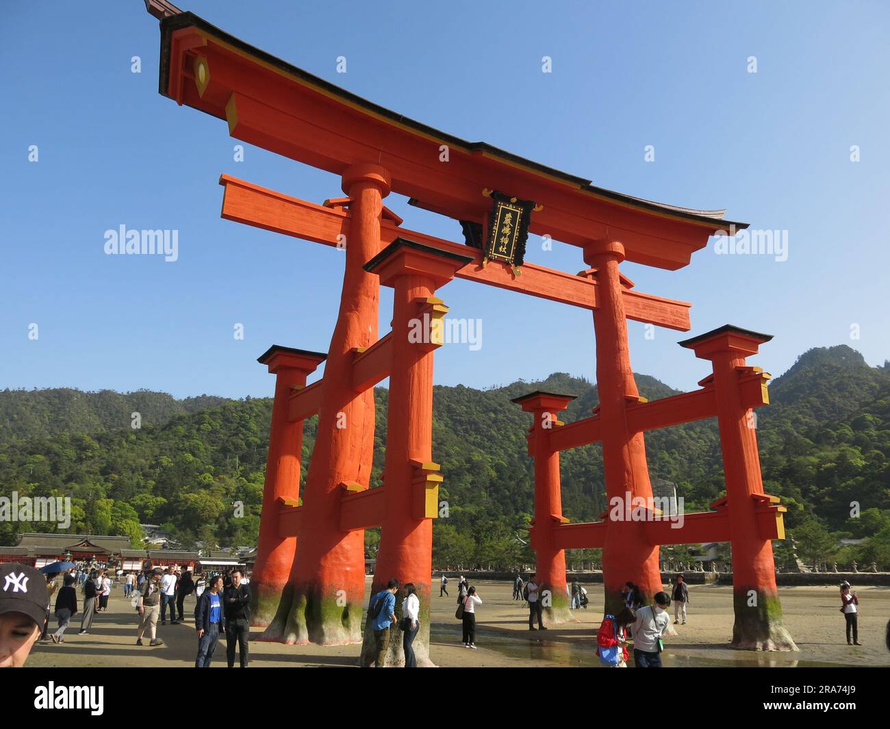 Simbolo di Miyajima, la porta o-Torii è considerata un importante patrimonio culturale nazionale ed è affollata di visitatori sulla spiaggia. Foto Stock