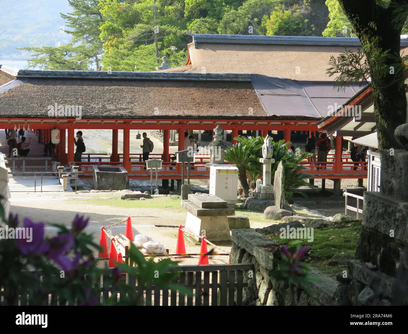 Una delle attrazioni culturali di visitare il Giappone è visitare un santuario shintoista, qui il santuario Itsukushima sull'isola di Miyajima, costruito su palafitte. Foto Stock
