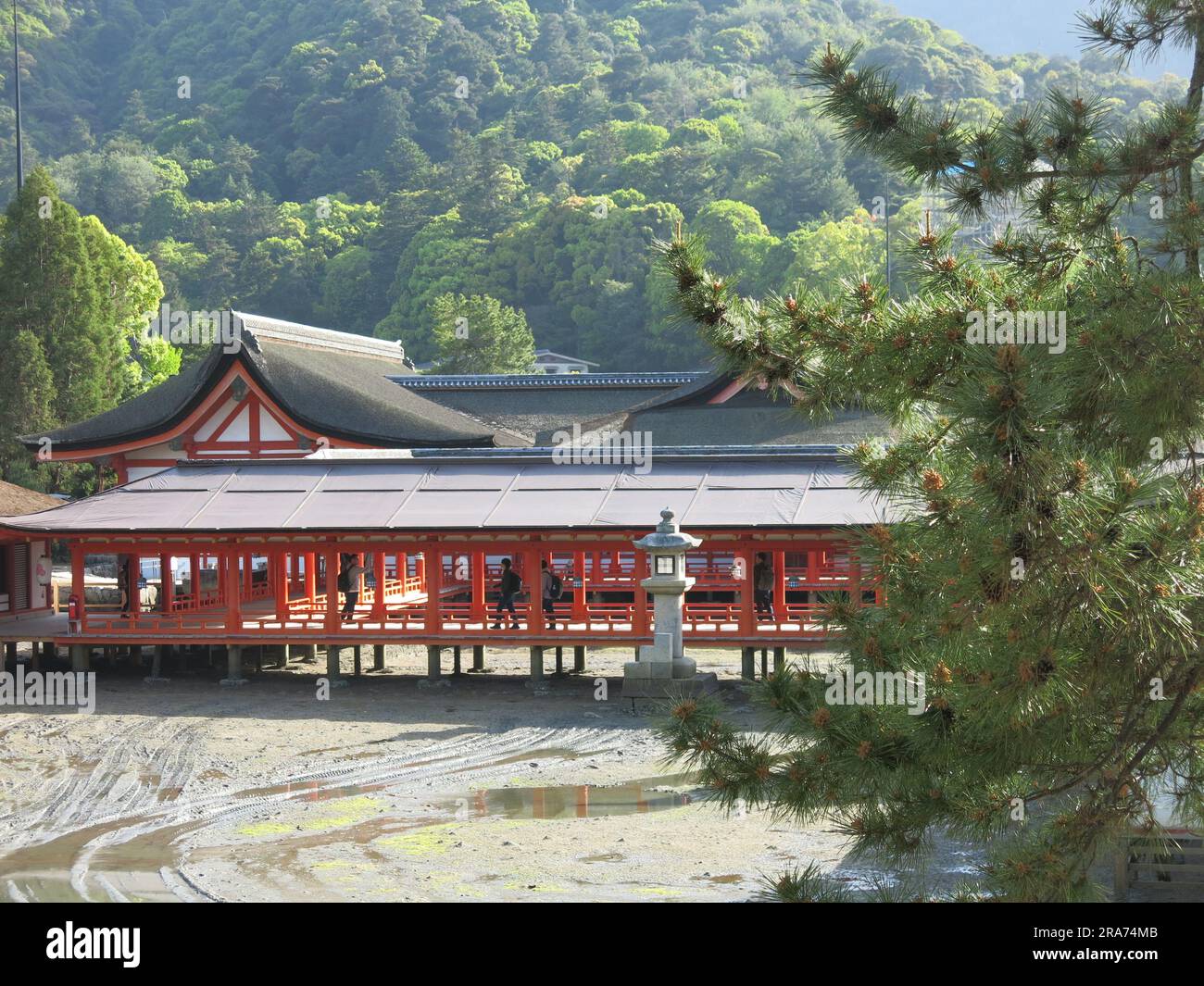 Turismo in Giappone: Il complesso di edifici del Santuario scintoista di Itsukushima, su palafitte sopra la spiaggia e collegato da passerelle in legno; l'isola di Miyajima. Foto Stock