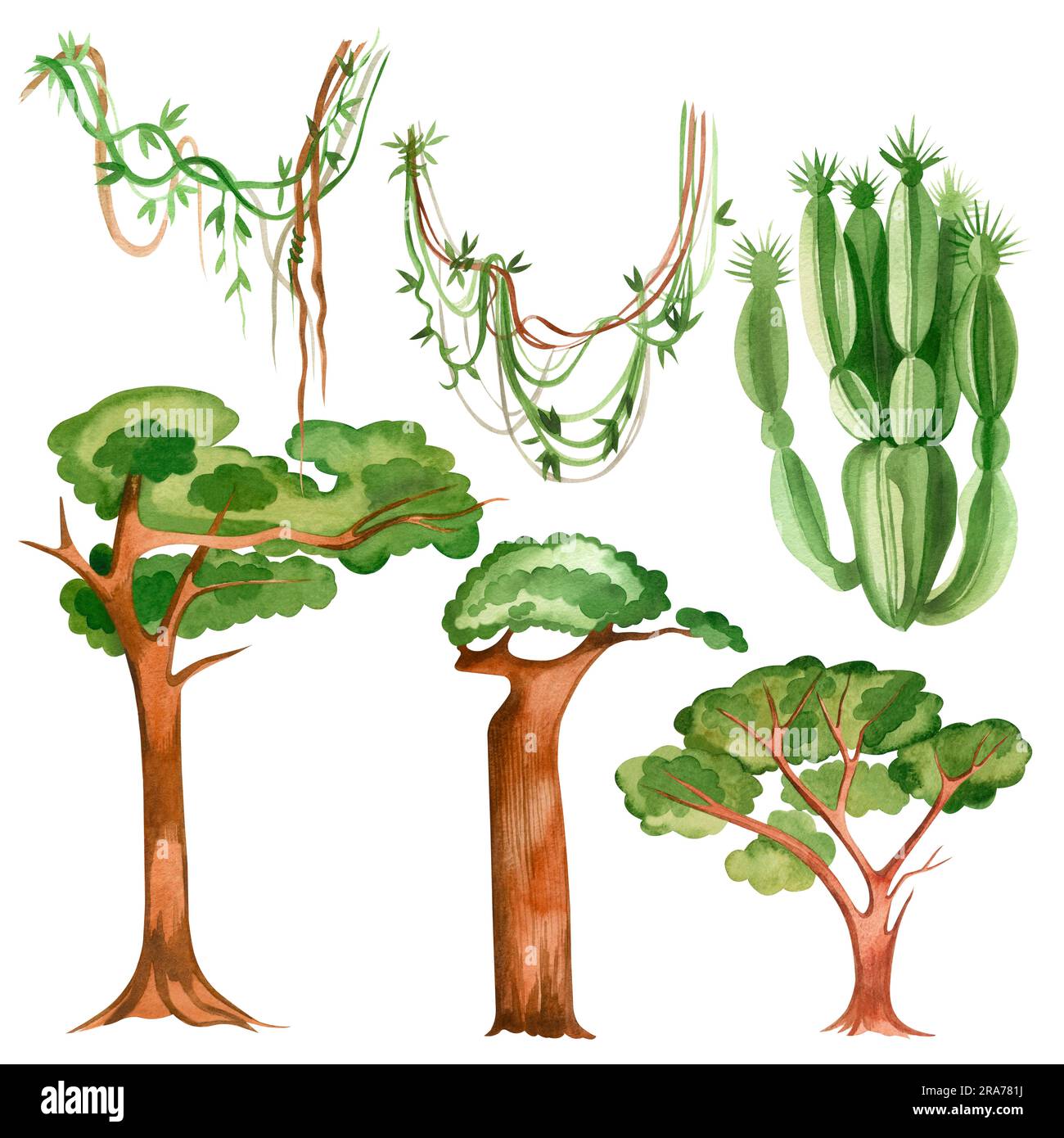 Insieme di alberi, viti e cactus su sfondo bianco. Tutti gli elementi sono disegnati a mano ad acquerello su sfondo bianco. per la stampa su tessuti, carta Foto Stock