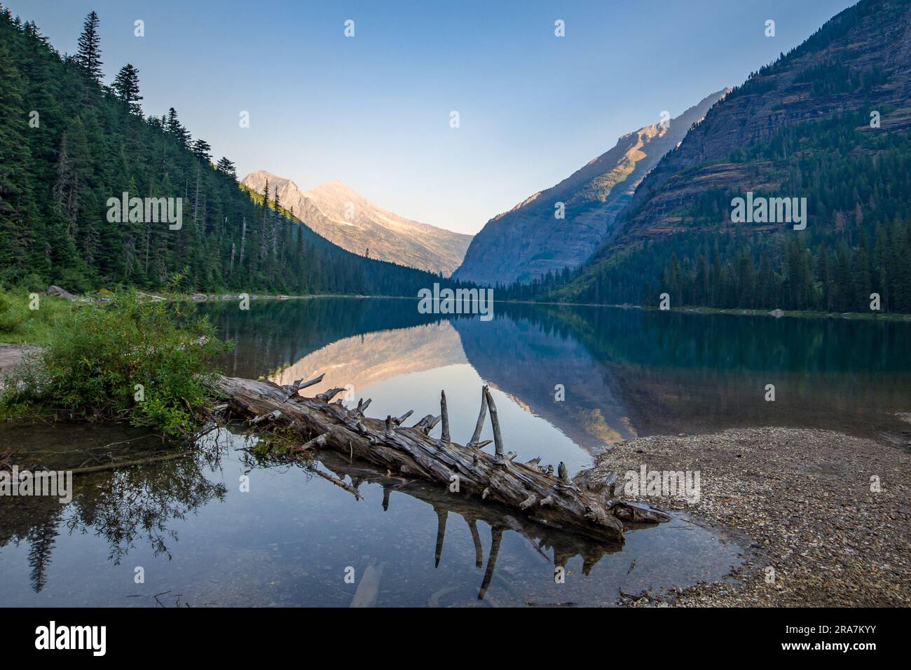 Lago Avalanche con riflessi di foreste e montagne in una mattinata limpida | Glacier National Park, Montana, USA Foto Stock