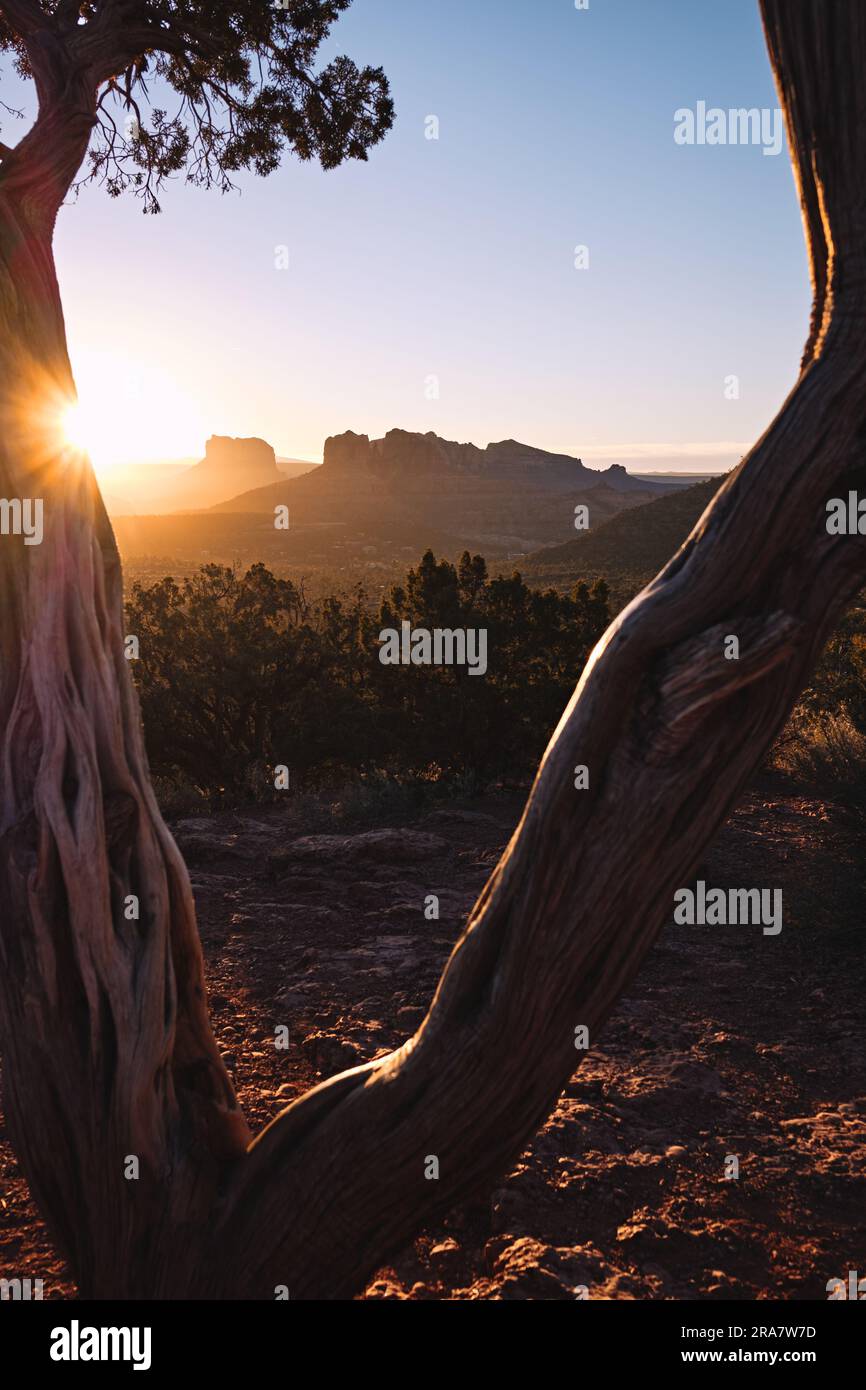 Il sole sorge e crea un'esplosione di stelle sul tronco di alberi con le famose formazioni di roccia rossa di Sedona quasi in lontananza. Foto Stock