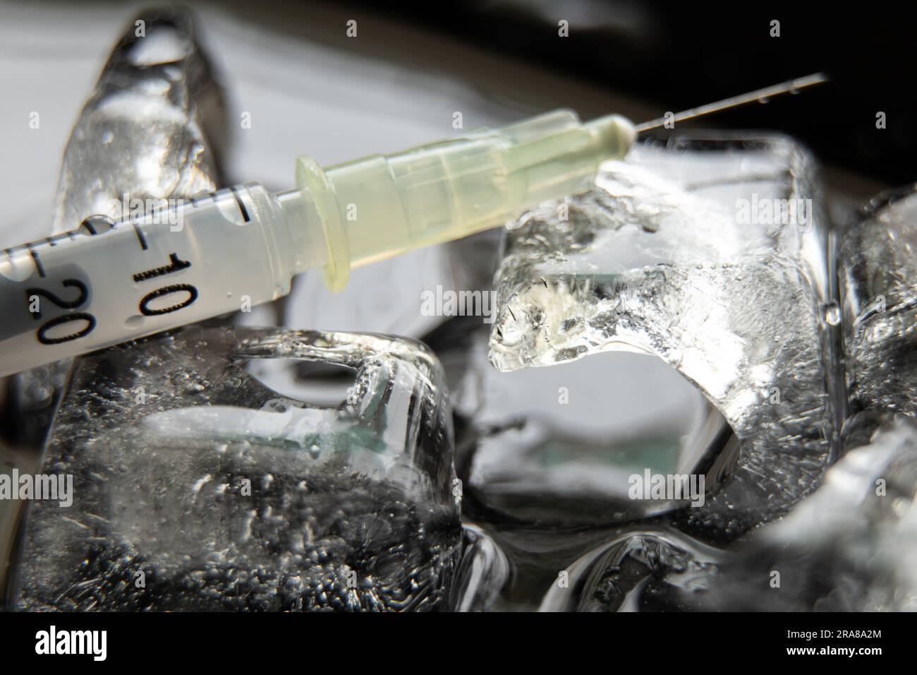 una siringa con un ago e una fiala con un vaccino in ghiaccio, vaccinazione di massa in un panda Foto Stock