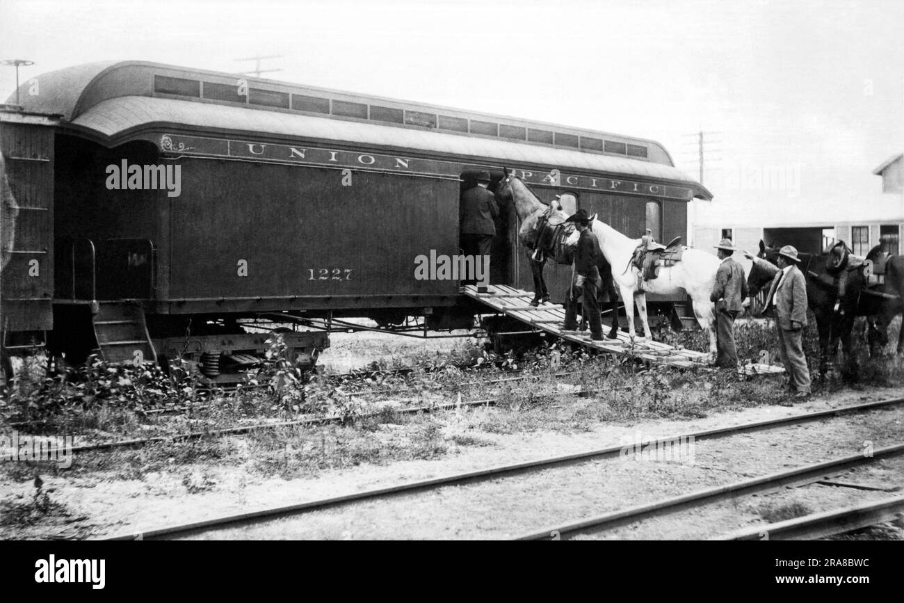 Stati Uniti: c. 1898. Caricando i cavalli in una delle auto speciali della Union Pacific Railroad per i ranger a cavallo organizzati dall'agente speciale UP Timothy Keliher per fermare la Wild Bunch Gang guidata da Butch Cassidy e Sundance Kid. Foto Stock