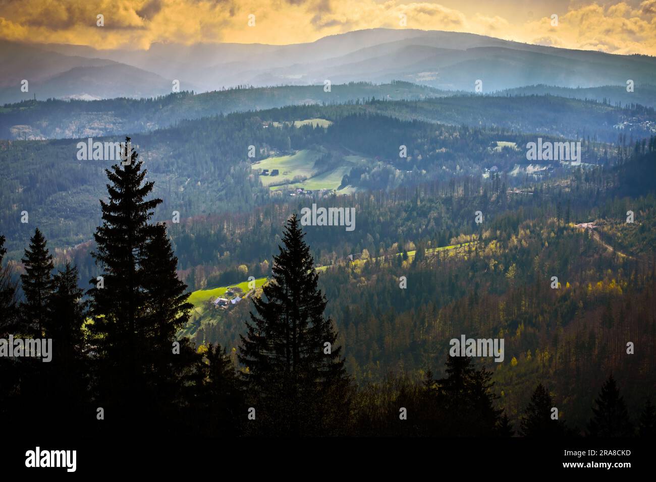 Montagne lesiane boschive di Beskids sul sentiero principale di Beskid, Voivodato della Slesia, Polonia. Foto Stock
