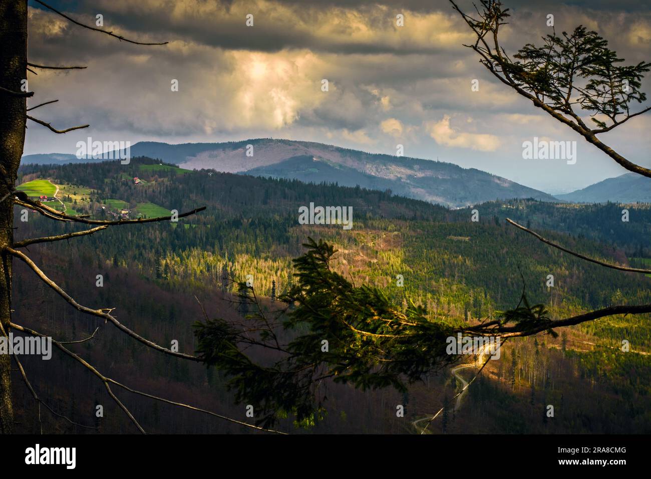 Montagne lesiane boschive di Beskids sul sentiero principale di Beskid, Voivodato della Slesia, Polonia. Foto Stock