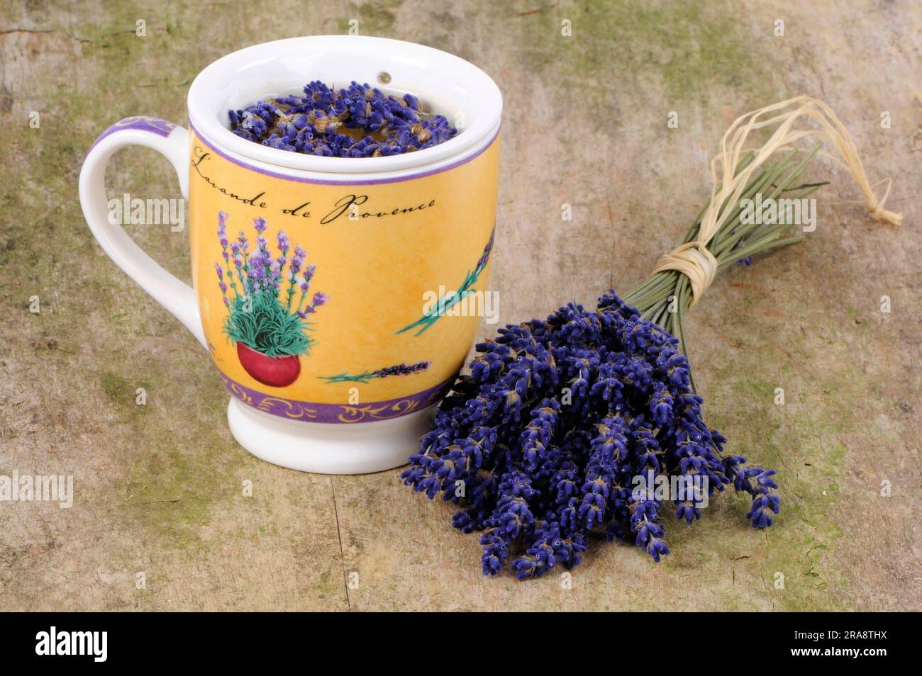 Tazza di tè alla lavanda (Lavandula angustifolia) Foto Stock