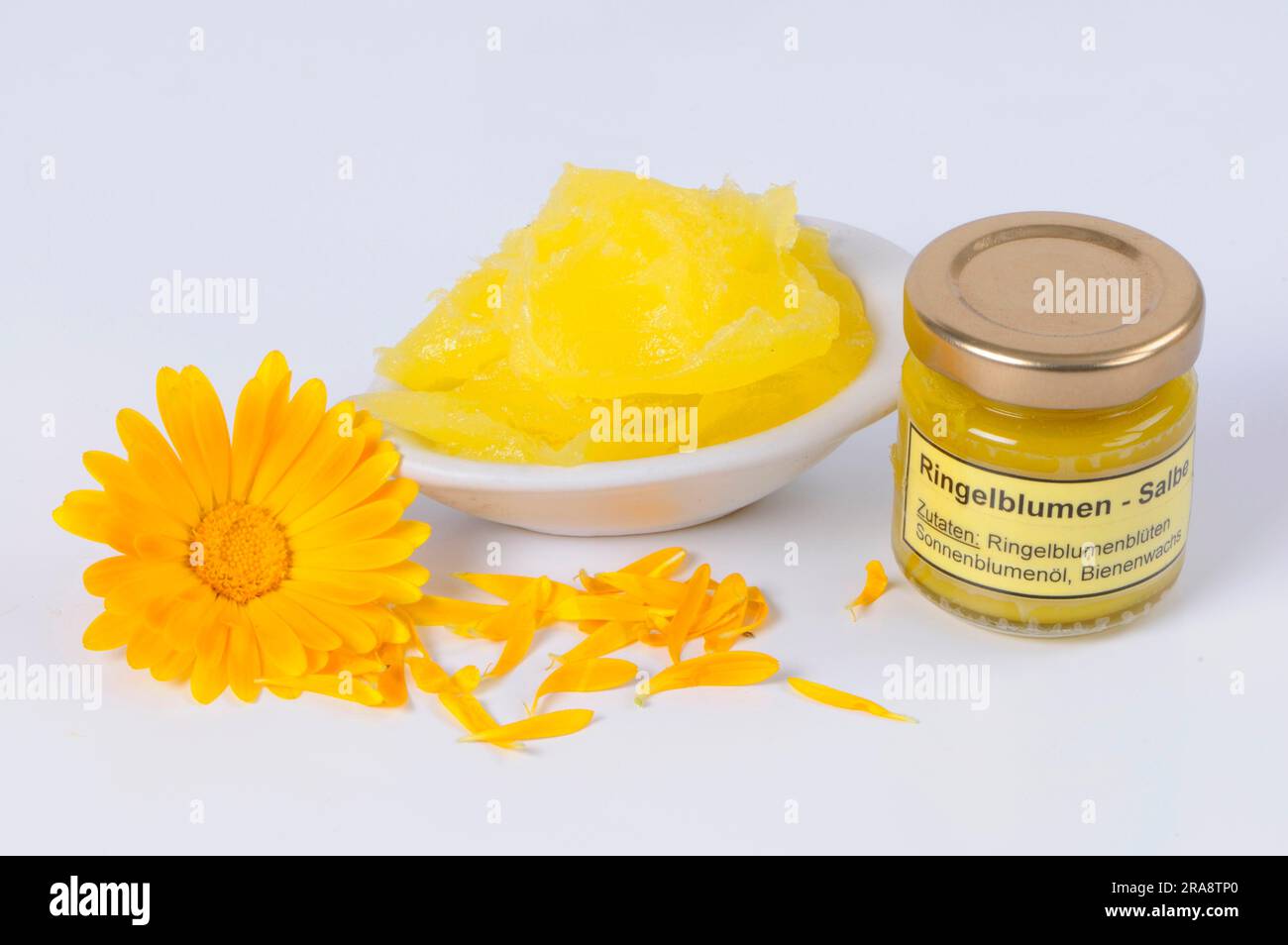 Calendula officinalis, unguento di calendula, ritagliato, oggetto Foto Stock