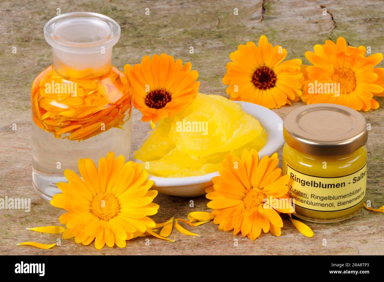 Calendula officinalis, unguento calendula e tintura calendula, unguento calendula, tintura calendula Foto Stock