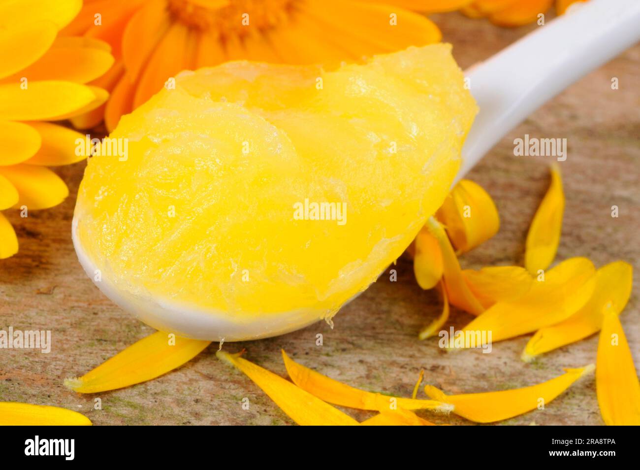 Calendula officinalis, unguento di calendula Foto Stock