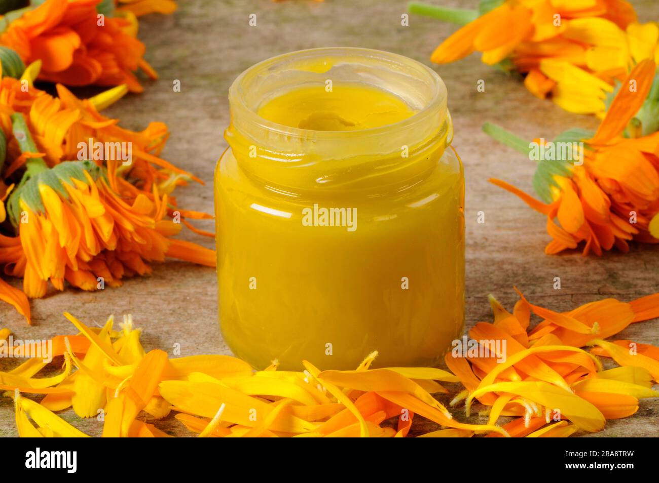 Calendula officinalis, unguento di calendula Foto Stock