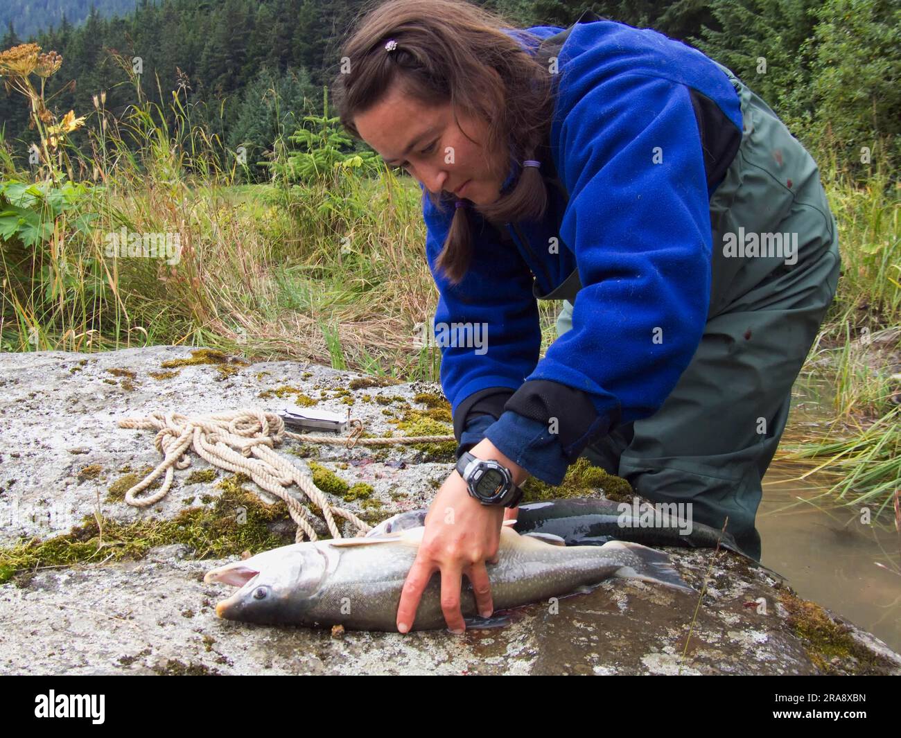 Pescatore con salmone pescato, fiume Chilkoot, Alaska, pescatori, Stati Uniti Foto Stock