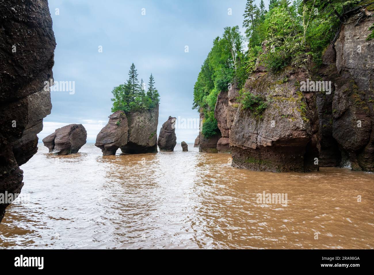 La baia di Fundy, New Brunswick. Questa baia è famosa per avere le maree più alte del mondo, che possono raggiungere i 20 metri di altezza Foto Stock