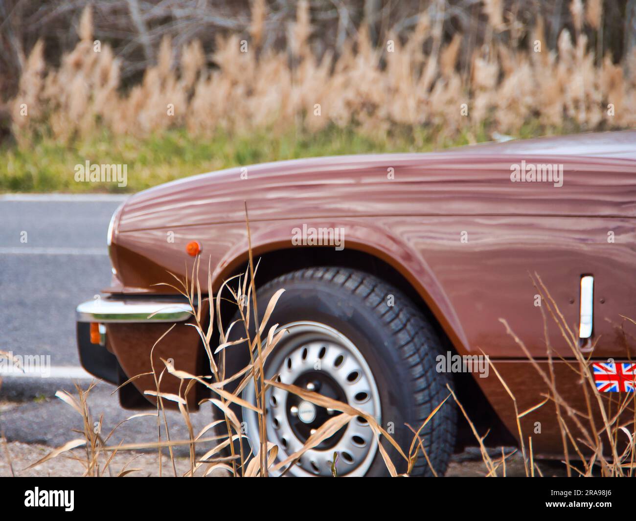 convertibile retromobile marrone. auto retrò su un campo con erba secca alta. Foto Stock