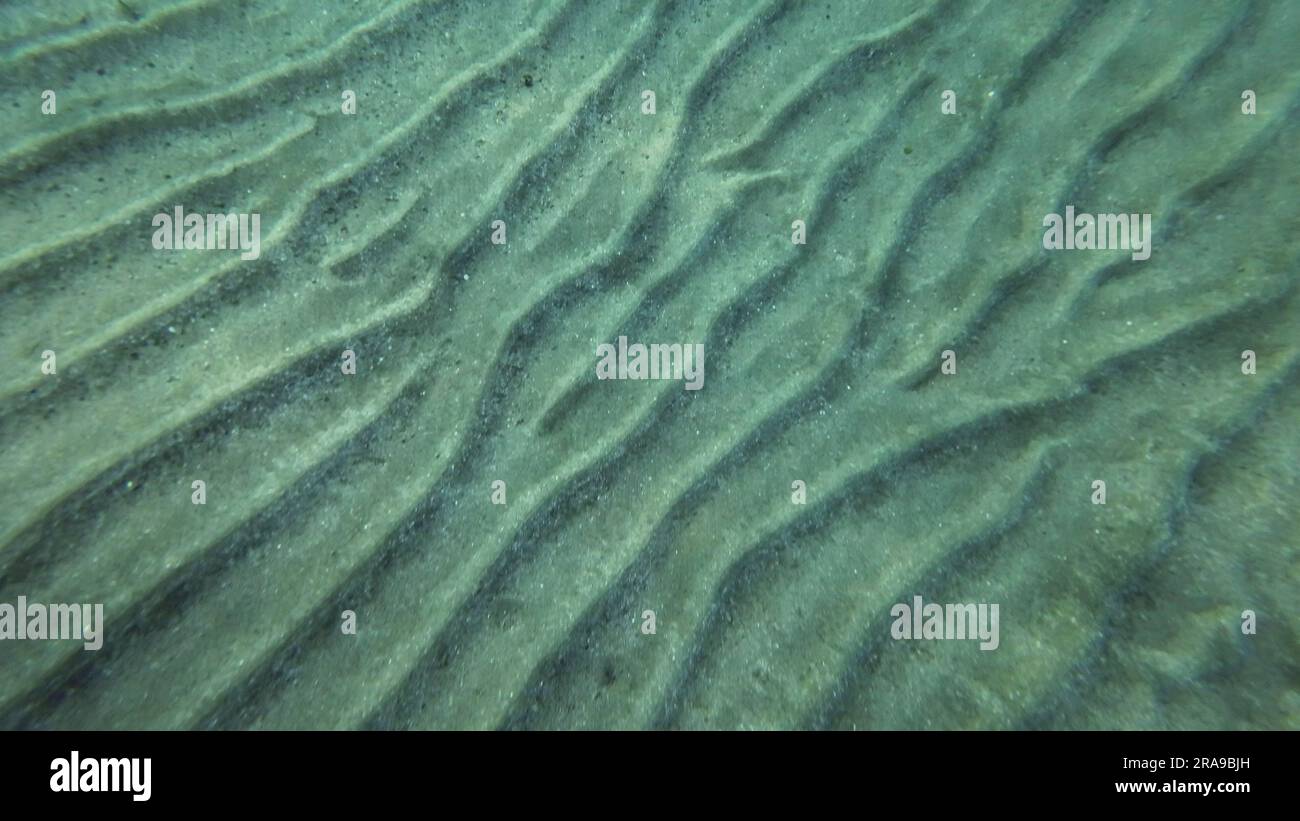 Fondo sabbioso coperto di colline sabbiose, sfondo naturale dalla profondità subacquea, Mar Rosso, Egitto Foto Stock