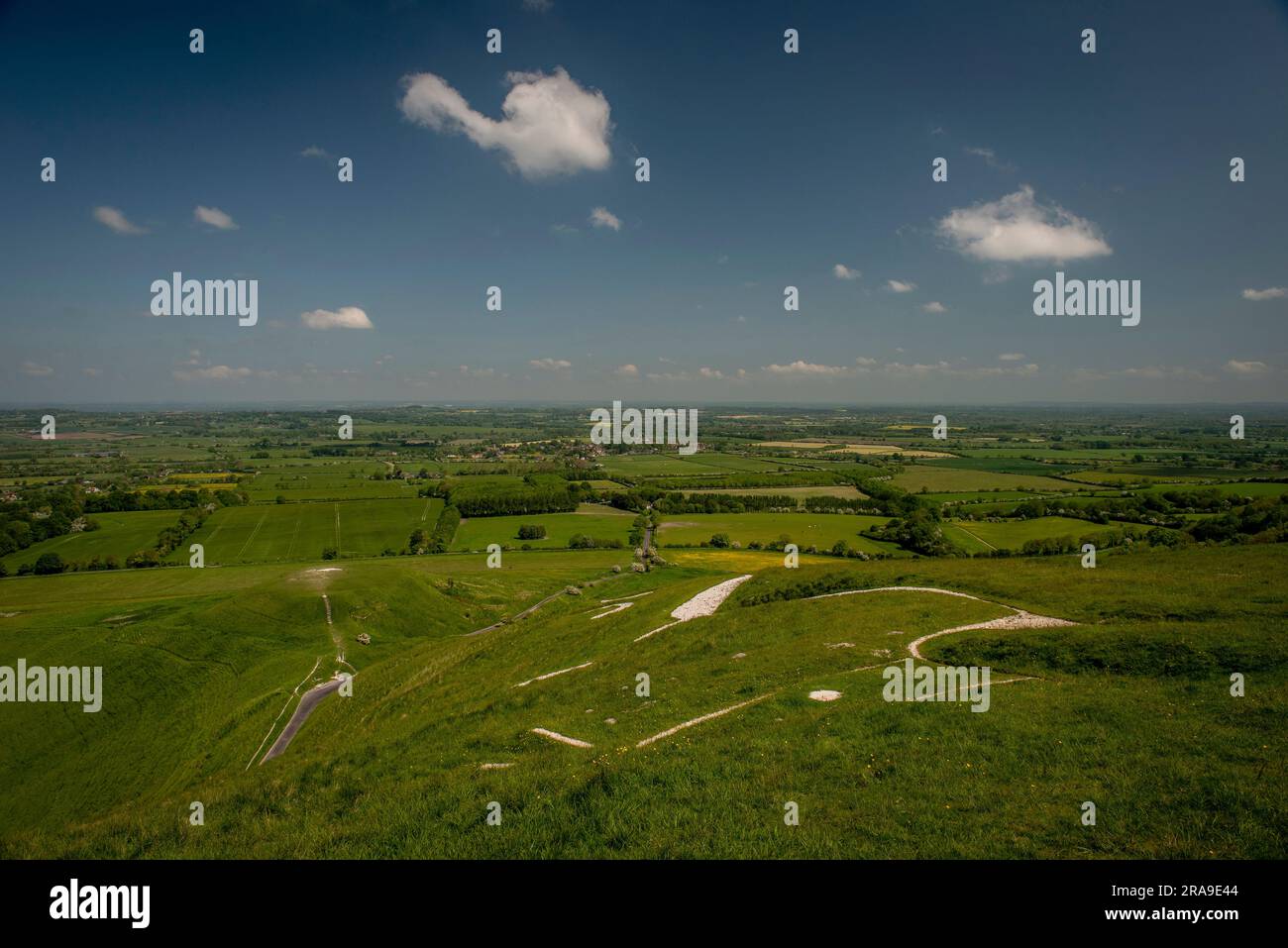 Il gesso tagliato figura dell'età del bronzo del Cavallo bianco di Uffington nell'Oxfordshire, Regno Unito Foto Stock