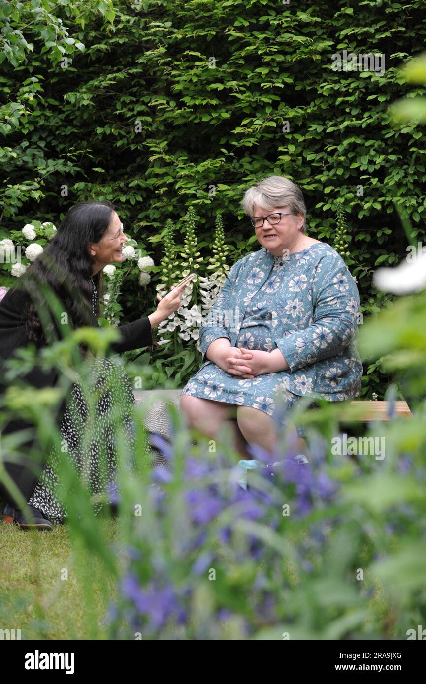 Thérèse Coffey parlamentare (membro conservatore del Parlamento, Segretario di Stato per l'ambiente, l'alimentazione e gli affari rurali) intervistata durante il giorno di apertura del Chelsea Flower Show del 2023. Chelsea è l'evento floreale e giardino più prestigioso del mondo. Lo spettacolo di sei giorni attrae circa 168.000 visitatori, inclusi i membri della famiglia reale, ed è il culmine degli eventi floreali e dei giardini che mostrano giardini all'avanguardia, design all'avanguardia e concetti artigianali, simile alla London Fashion Week. Il cuore dello spettacolo è il grande padiglione di 12.000m2, che ospita splendide mostre floreali e nurserie globali Foto Stock