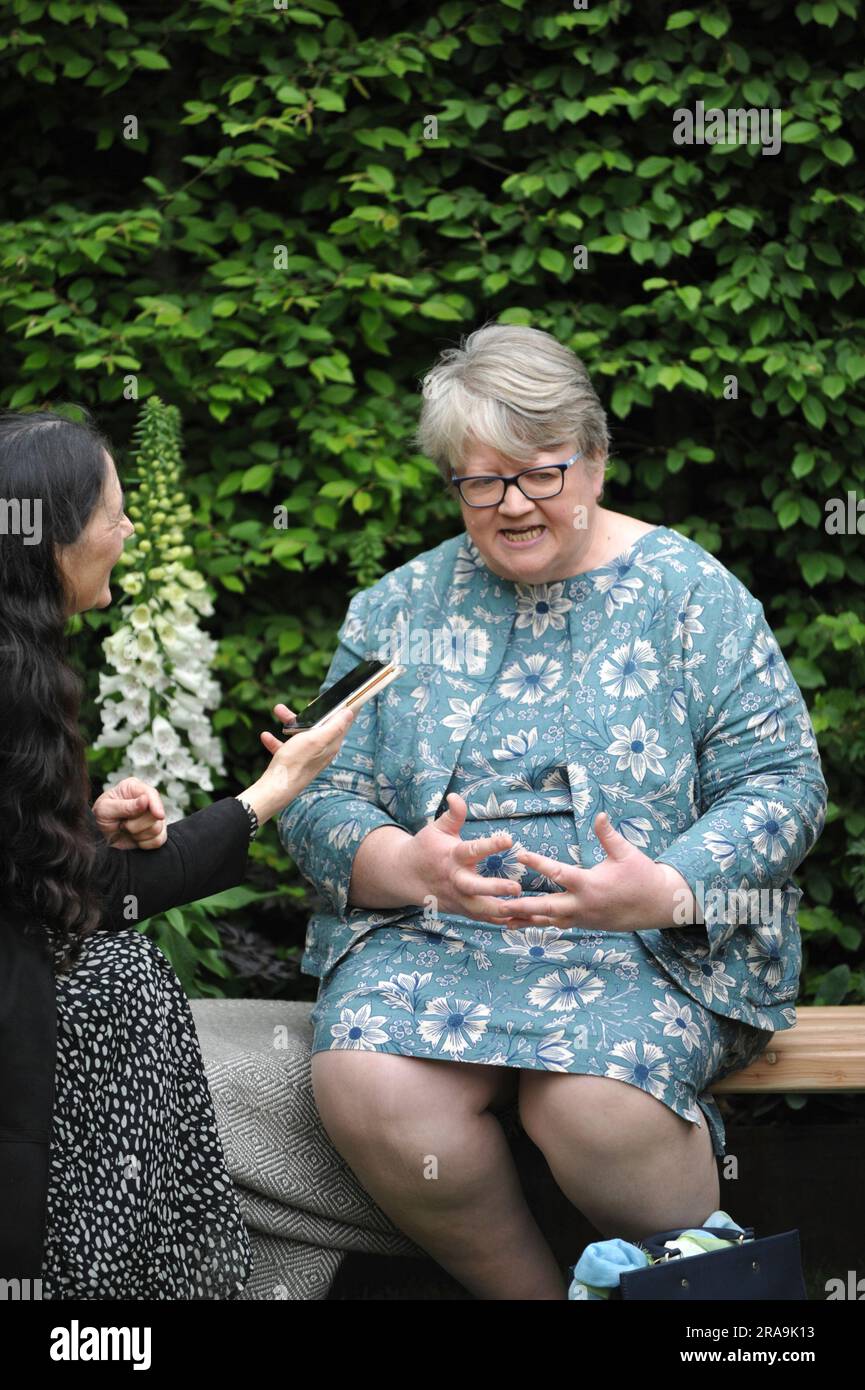 Thérèse Coffey parlamentare (membro conservatore del Parlamento, Segretario di Stato per l'ambiente, l'alimentazione e gli affari rurali) intervistata durante il giorno di apertura del Chelsea Flower Show del 2023. Chelsea è l'evento floreale e giardino più prestigioso del mondo. Lo spettacolo di sei giorni attrae circa 168.000 visitatori, inclusi i membri della famiglia reale, ed è il culmine degli eventi floreali e dei giardini che mostrano giardini all'avanguardia, design all'avanguardia e concetti artigianali, simile alla London Fashion Week. Il cuore dello spettacolo è il grande padiglione di 12.000m2, che ospita splendide mostre floreali e nurserie globali Foto Stock