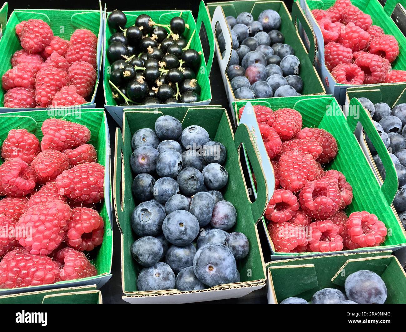 Primo piano di mirtilli freschi raccolti, lamponi e ribes nero in scatole di frutta da vendere al mercato agricolo. Foto Stock