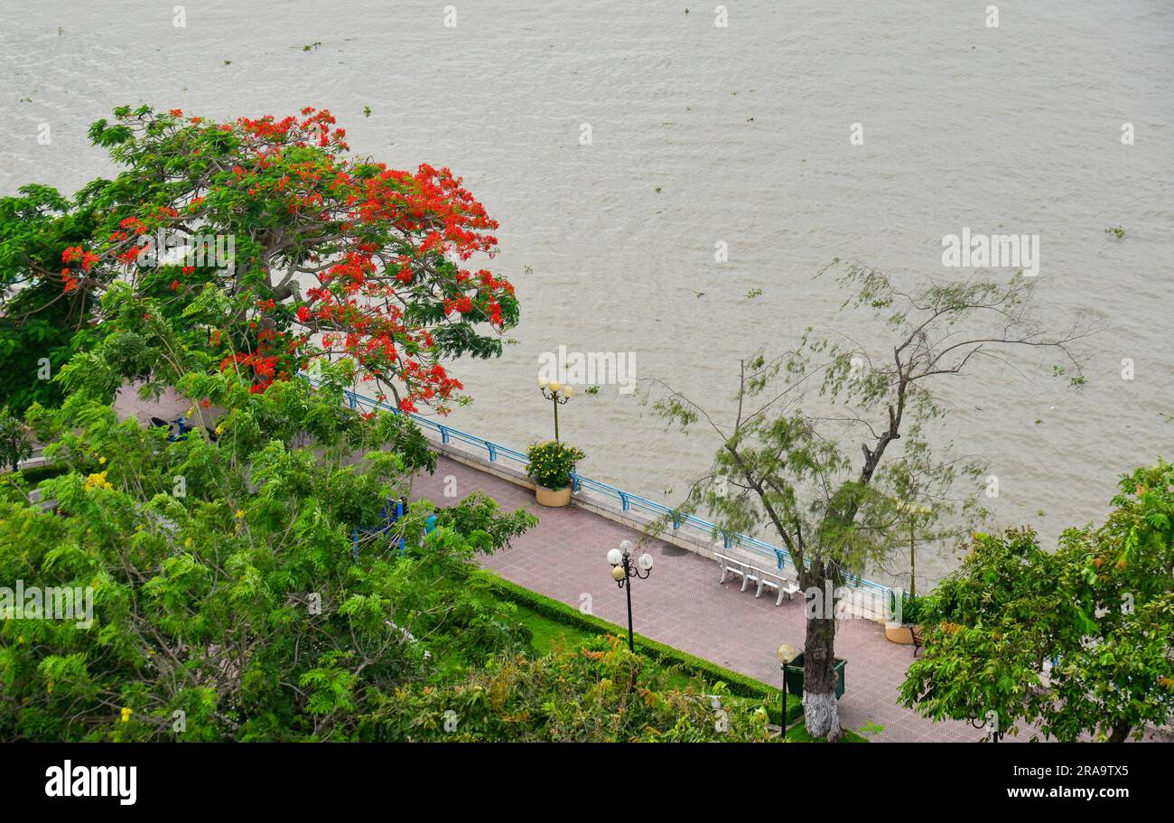 Paesaggio del fiume Mekong nella città di My Tho, provincia di Tien Giang, Vietnam. Foto Stock