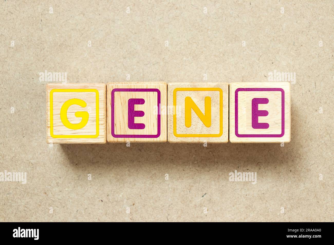 Blocco di lettere alfabetiche in legno nel gene delle parole su sfondo di legno Foto Stock