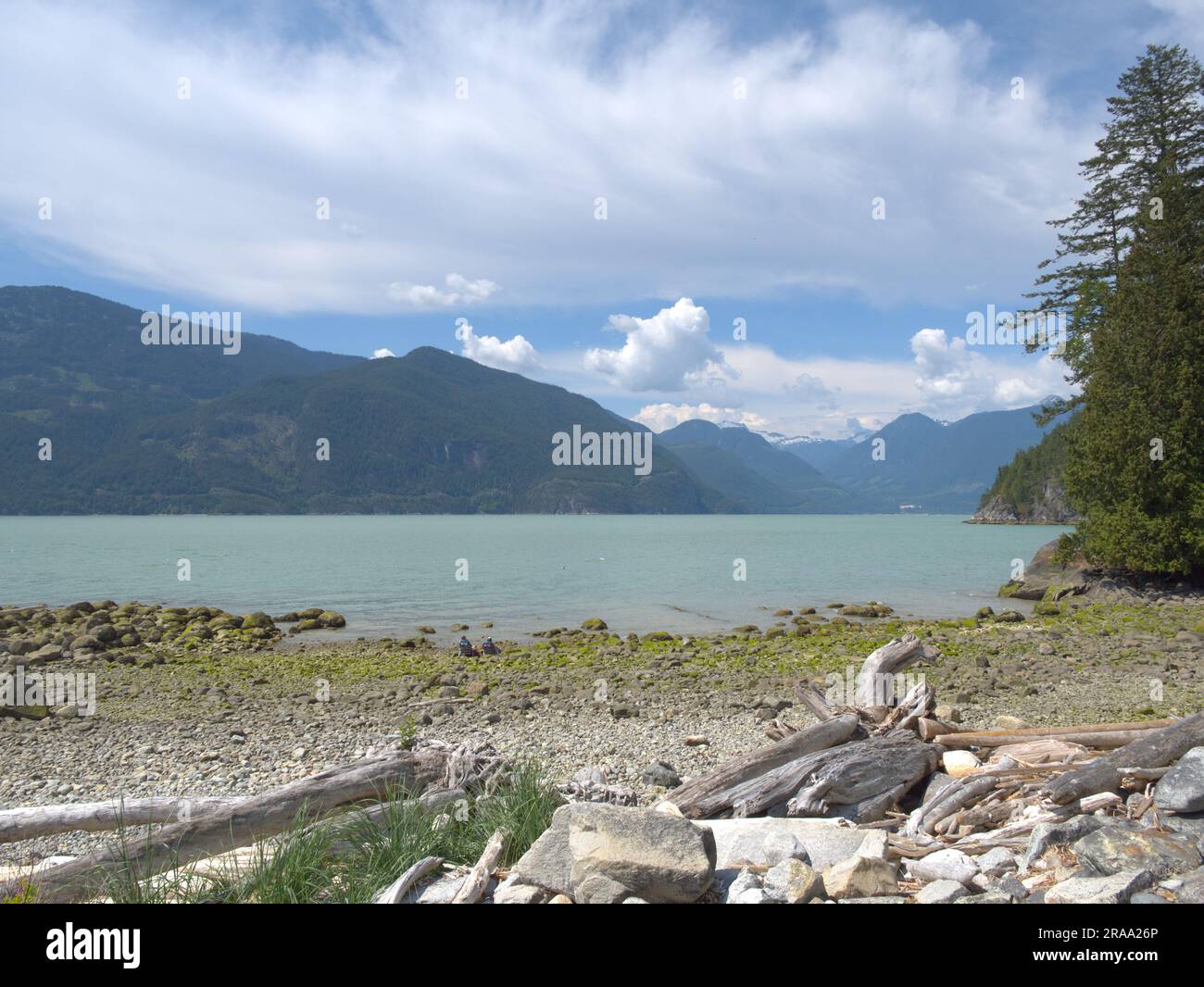 Oliver's Landing Beach, Furry Creek, British Columbia, Canada Foto Stock