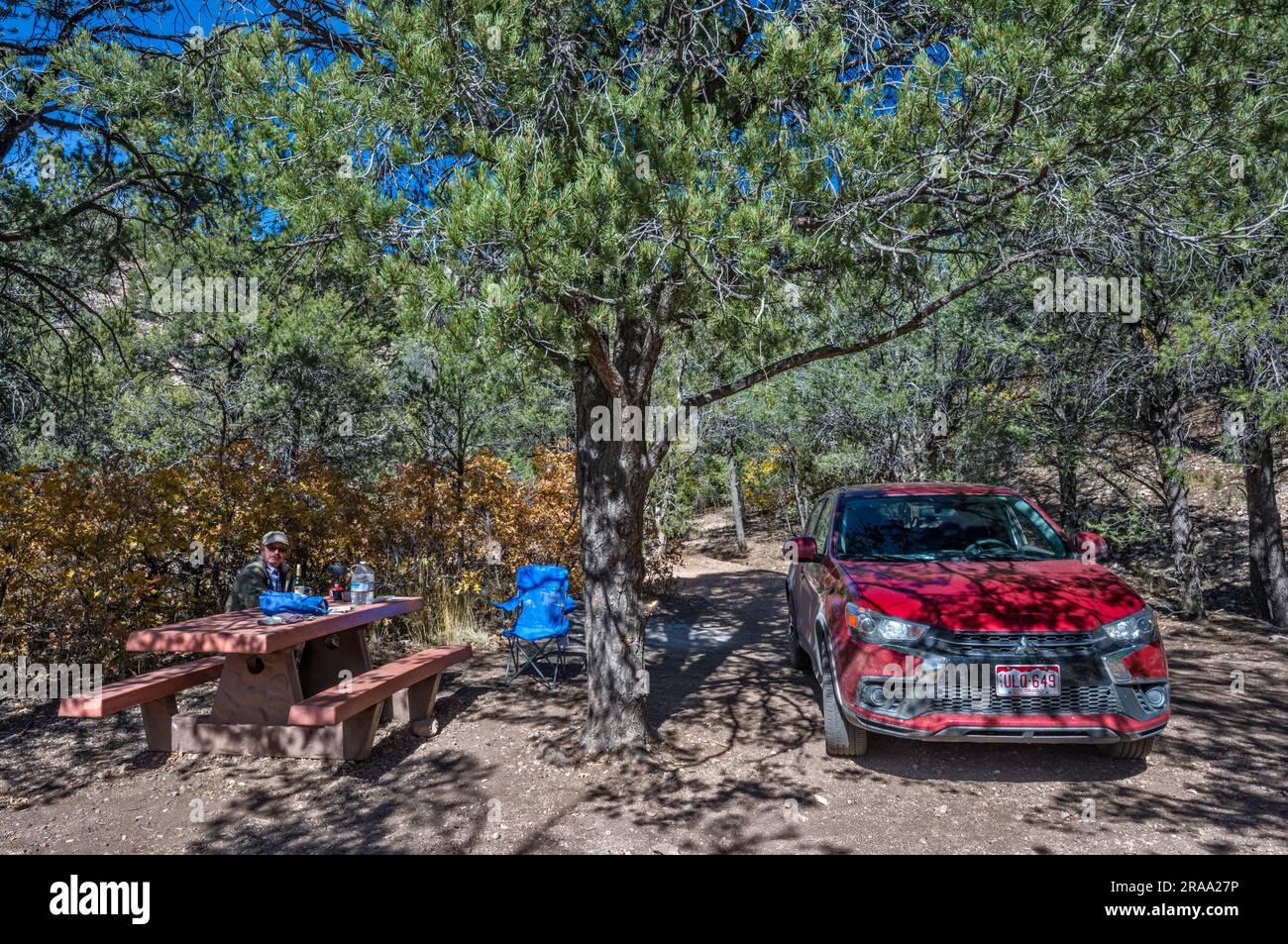 Campeggio presso Indian Hollow Campground, Kaibab Plateau, Kaibab National Forest, vicino al punto panoramico Little Saddle del Grand Canyon, Arizona, USA Foto Stock