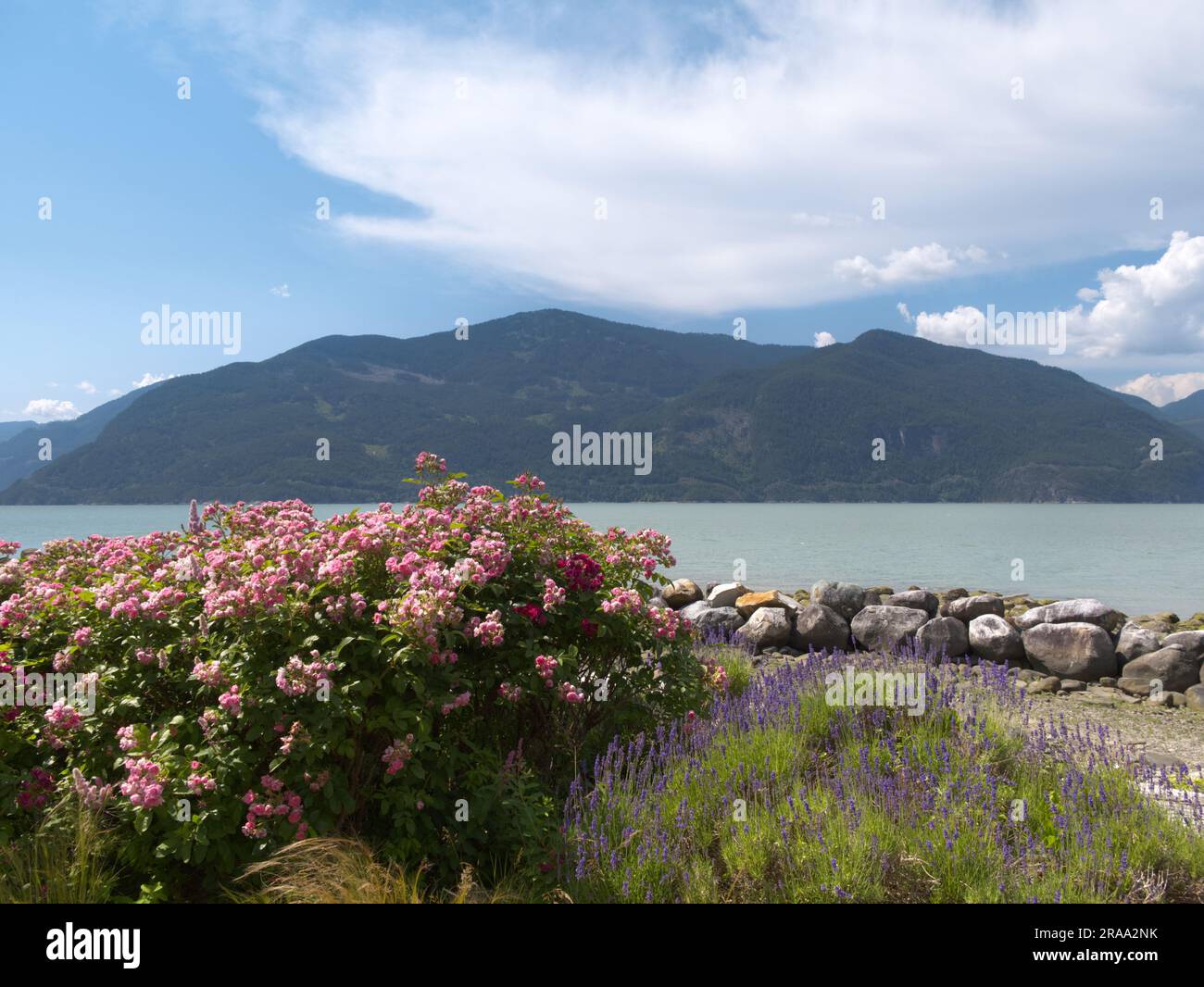 Oliver's Landing Beach, Furry Creek, British Columbia, Canada Foto Stock