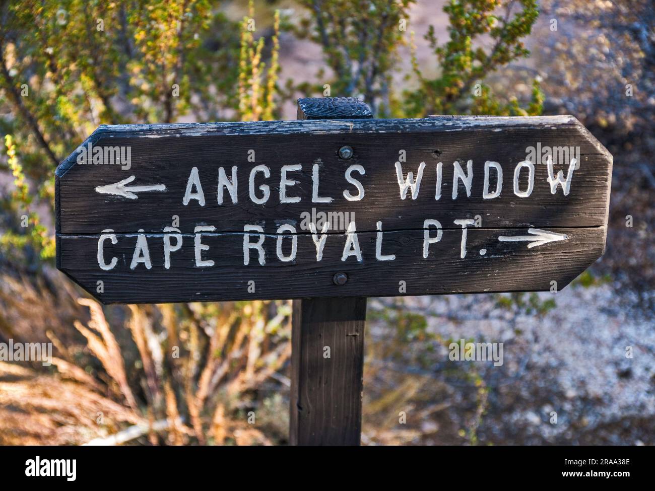 Indicazioni stradali vicino alla finestra Angels e a Cape Royal Point, al Grand Canyon National Park, Arizona, Stati Uniti Foto Stock