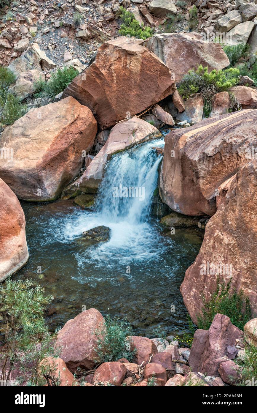 Piccola cascata a Manzanita Creek, Bright Angel Canyon, North Kaibab Trail, Grand Canyon National Park, Arizona, USA Foto Stock