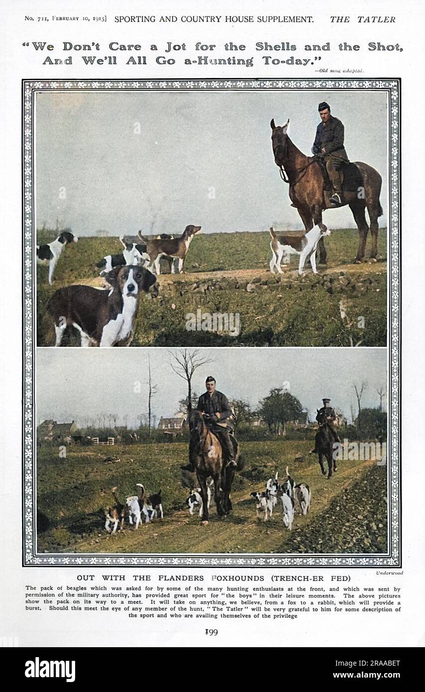 Pagina del Tatler che riportava con coraggio un gruppo di ufficiali britannici godeva di un posto di caccia vicino al fronte, completo di un branco di beagles (inviato con il permesso dell'autorità militare). Data: 1915 Foto Stock
