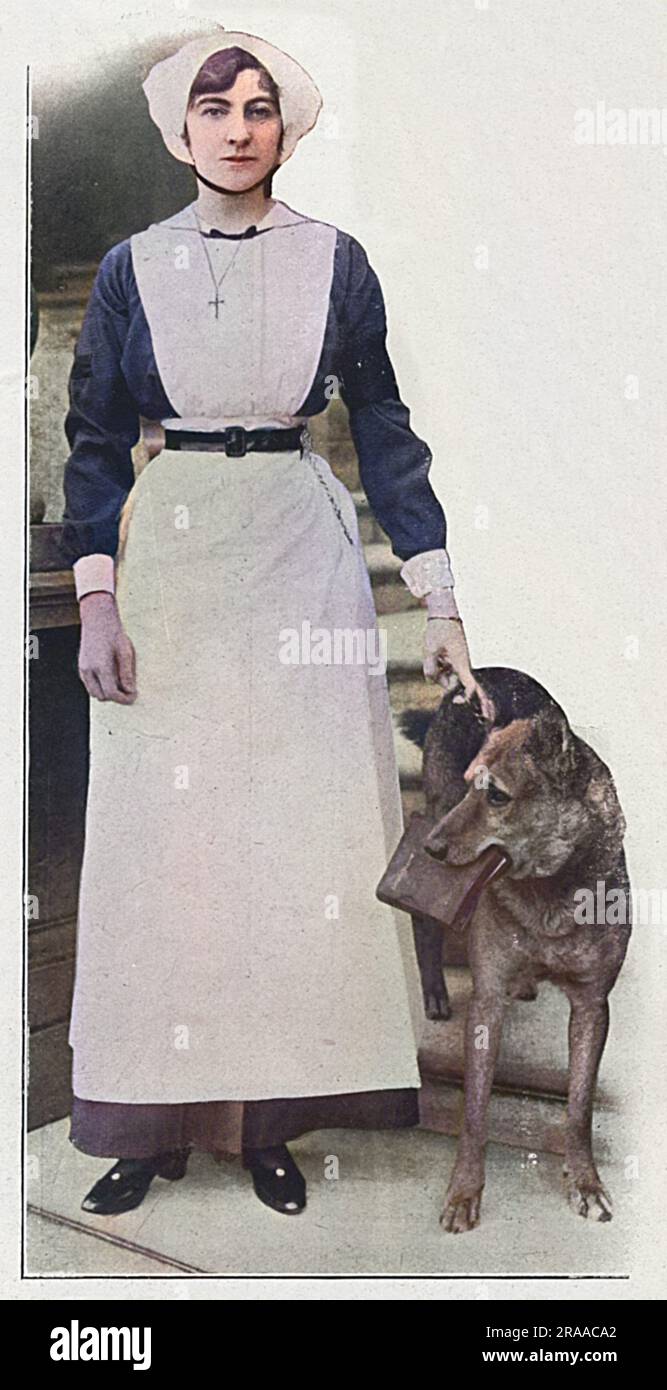 Constance Edwina (nata Cornwallis West), duchessa di Westminster (poi Mrs James Fitzpatrick Lewes) (morta nel 1970), prima moglie del II duca di Westminster. Nella foto al momento in cui lavorava come infermiera della Croce Rossa al fronte, gestiva il suo ospedale. Fu menzionata nel dispaccio di Sir Douglas Haig per il suo lavoro sulla Croce Rossa. Data: 1916 Foto Stock