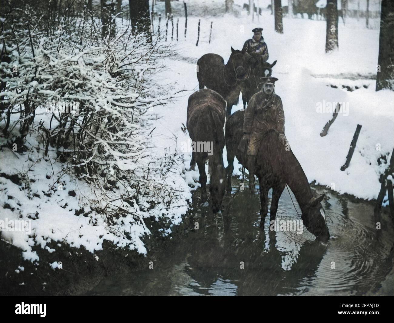 Soldati britannici a cavallo sulla neve sul fronte occidentale durante la prima guerra mondiale, dando ai loro cavalli il tempo per un drink d'acqua. Data: Circa 1916 Foto Stock