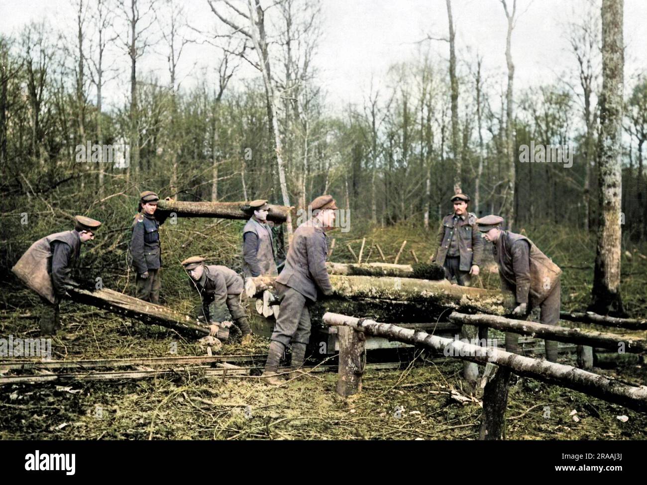 Truppe britanniche al lavoro in una nuova segheria all'aperto sul fronte occidentale durante la prima guerra mondiale. Stanno trasferendo tronchi da una ferrovia leggera. Data: Circa 1916 Foto Stock