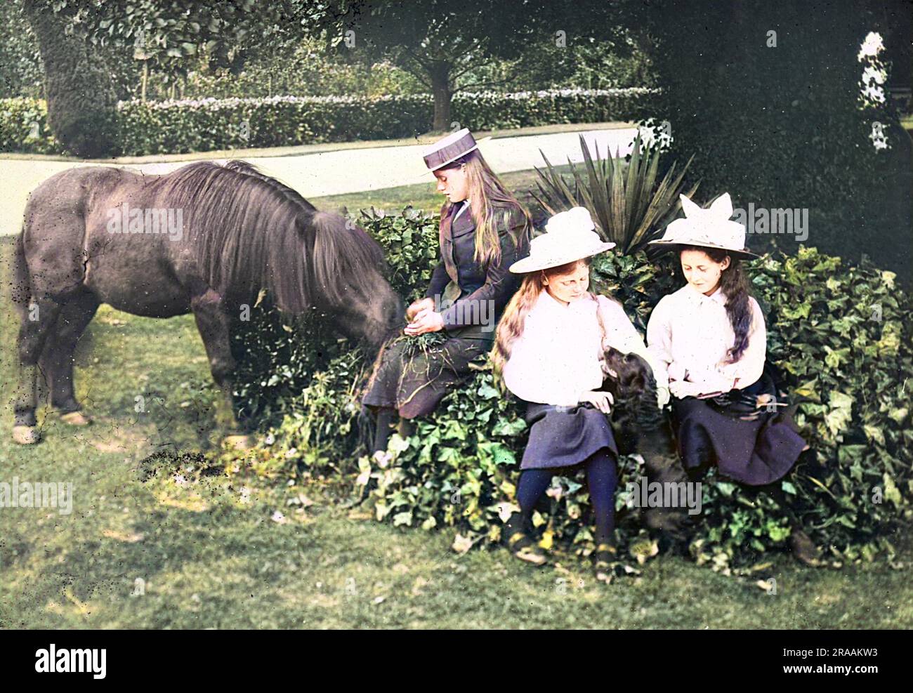 Tre ragazze (una sorella maggiore e due fratelli minori, forse gemelli?) con un pony e un cane da spaniel. Questa diapositiva è intitolata "l'ultimo giorno di Jumbo". Probabilmente nei giardini di Denham Court, Denham, Buckinghamshire. Data: Circa 1904 Foto Stock