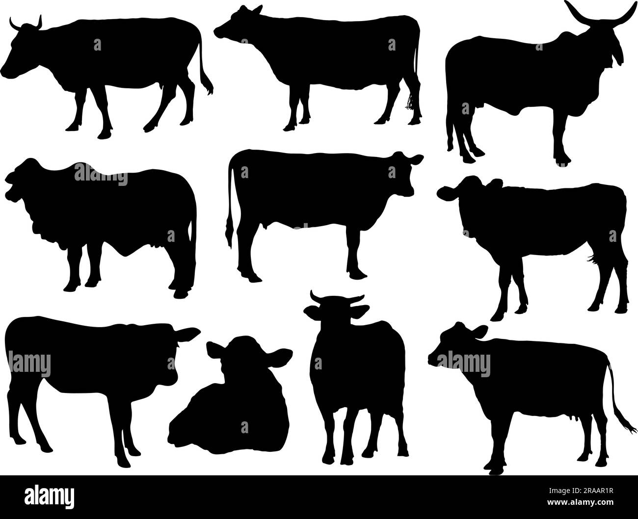 Set di silhouette mucca Illustrazione Vettoriale