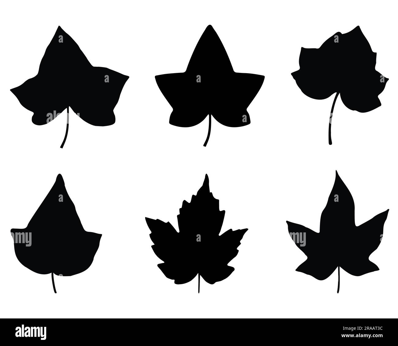 Set di silhouette Ivy Leaf Illustrazione Vettoriale