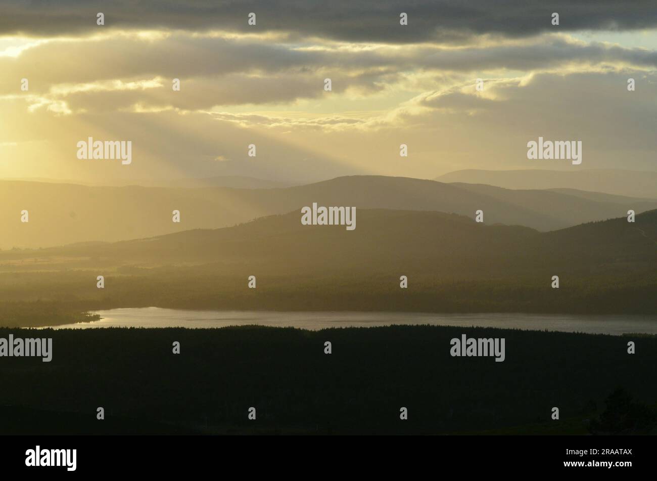 Vista al tramonto del Loch Morlich e del Glenmore Forest Park nel Cairngorms National Park, Scozia, Regno Unito Foto Stock