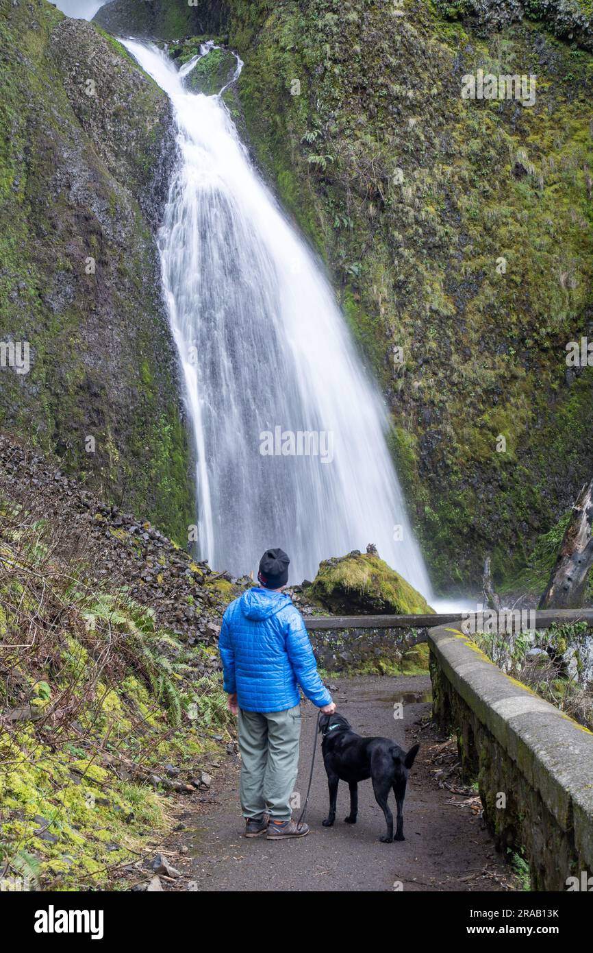 Un maschio adulto con cane esplora le cascate di Wahkeena. Gola del fiume Columbia. Oregon Foto Stock