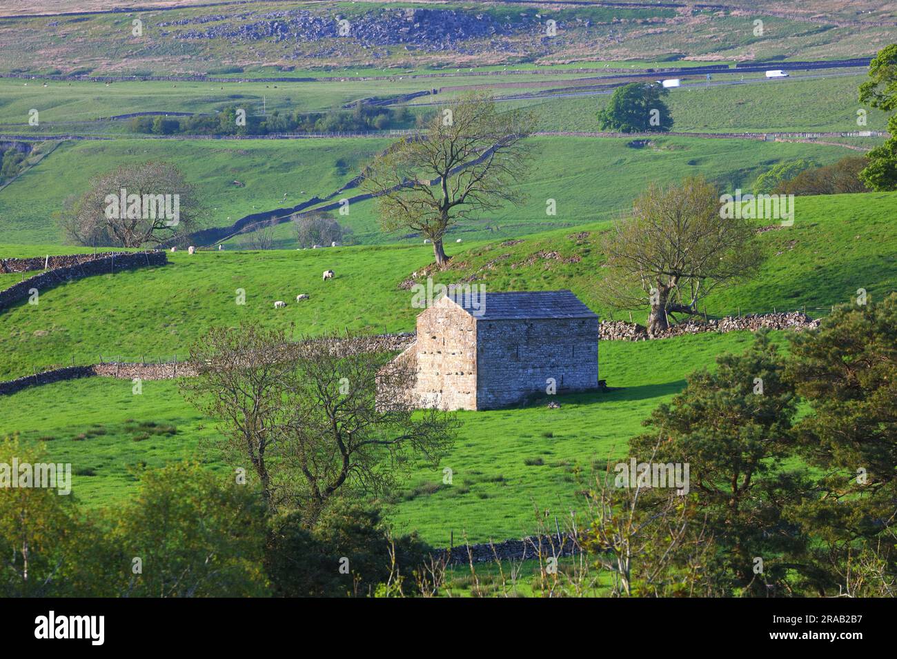 Stone Barn in Fields a Stainmore vicino a Kirkby Stephen, Cumbria, Inghilterra, Regno Unito. Foto Stock