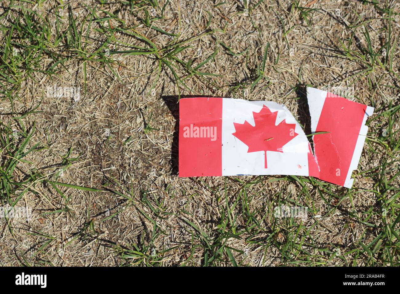 Bandiera post Canada Day strappata e calpestata. Foto Stock