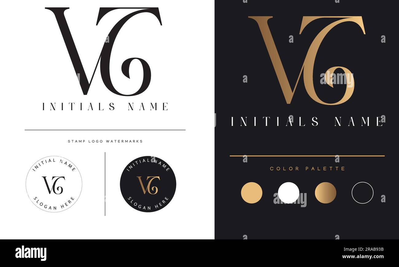 VT o TV Luxury monogramma iniziale lettera di testo Logo Design Illustrazione Vettoriale