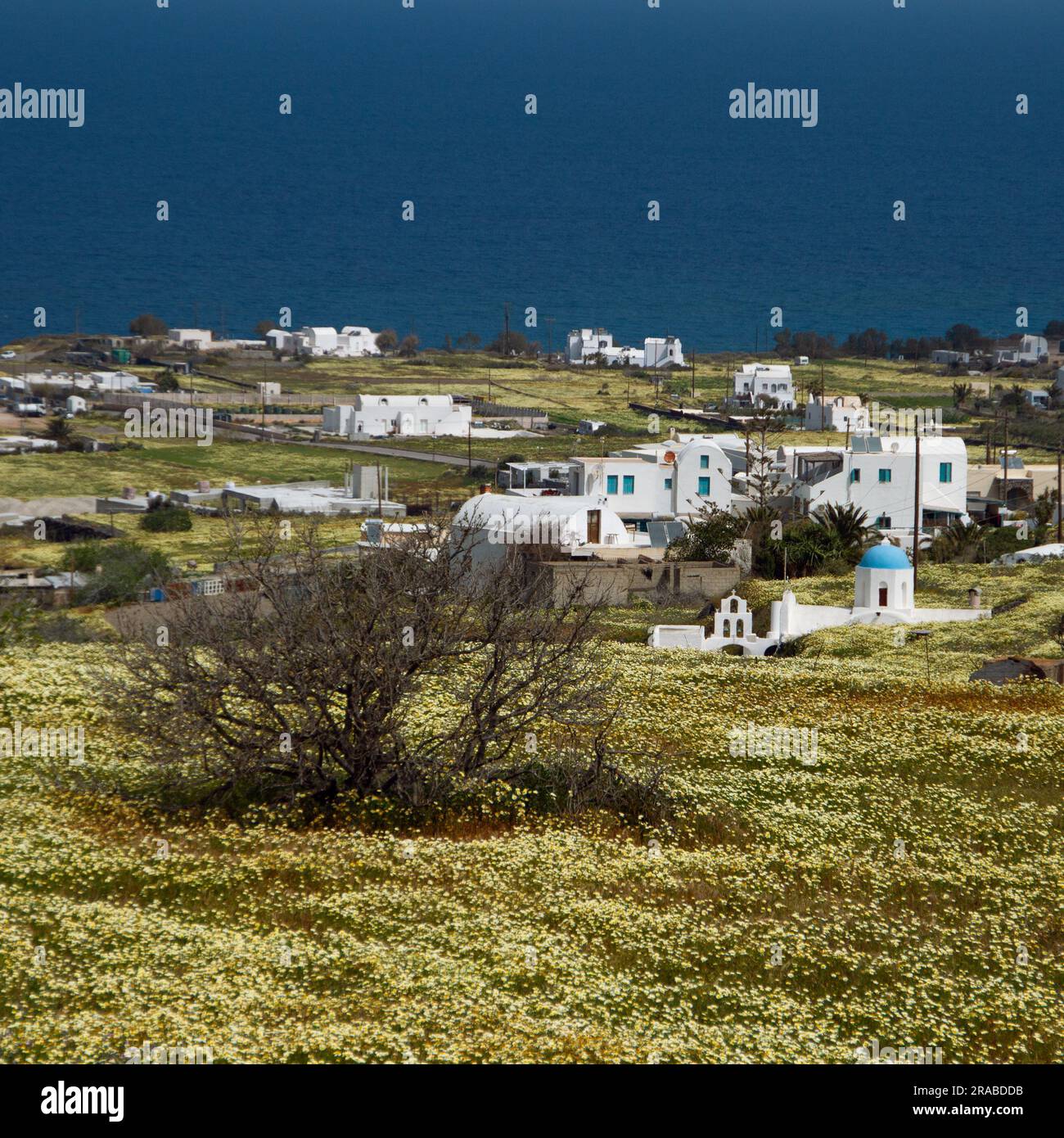 Bellezza di Santorin Foto Stock